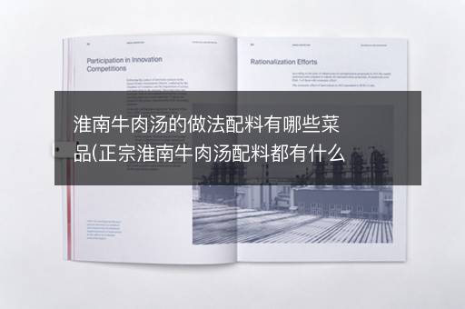 淮南牛肉汤的做法配料有哪些菜品(正宗淮南牛肉汤配料都有什么)