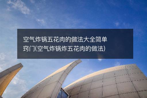 空气炸锅五花肉的做法大全简单窍门(空气炸锅炸五花肉的做法)