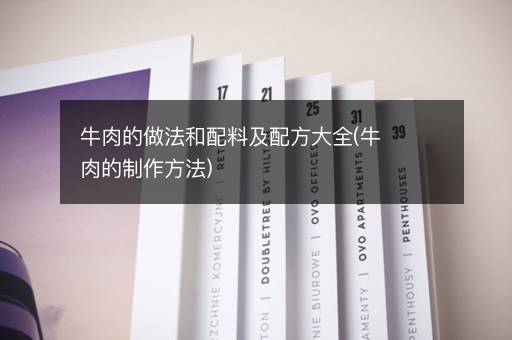 牛肉的做法和配料及配方大全(牛肉的制作方法)