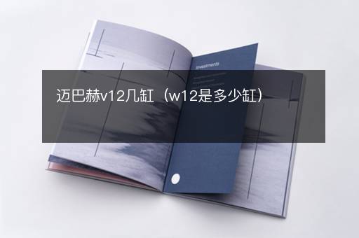 迈巴赫v12几缸（w12是多少缸）