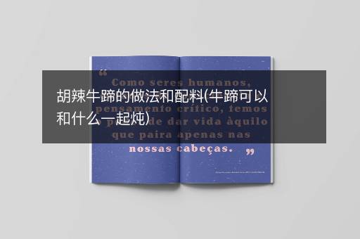 胡辣牛蹄的做法和配料(牛蹄可以和什么一起炖)