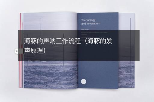 海豚的声呐工作流程（海豚的发声原理）