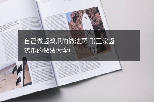 自己做卤鸡爪的做法窍门(正宗卤鸡爪的做法大全)