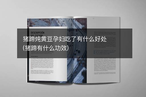 猪蹄炖黄豆孕妇吃了有什么好处(猪蹄有什么功效)