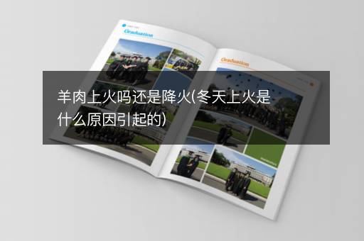 羊肉上火吗还是降火(冬天上火是什么原因引起的)