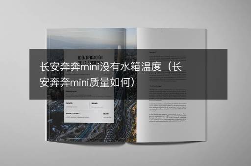 长安奔奔mini没有水箱温度（长安奔奔mini质量如何）