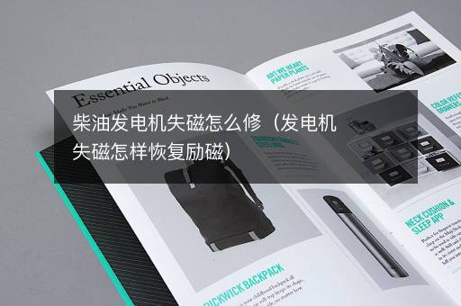 柴油发电机失磁怎么修（发电机失磁怎样恢复励磁）
