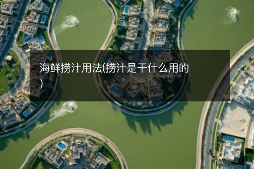海鲜捞汁用法(捞汁是干什么用的)