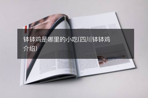 钵钵鸡是哪里的小吃(四川钵钵鸡介绍)