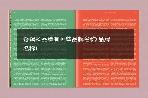 烧烤料品牌有哪些品牌名称(品牌名称)
