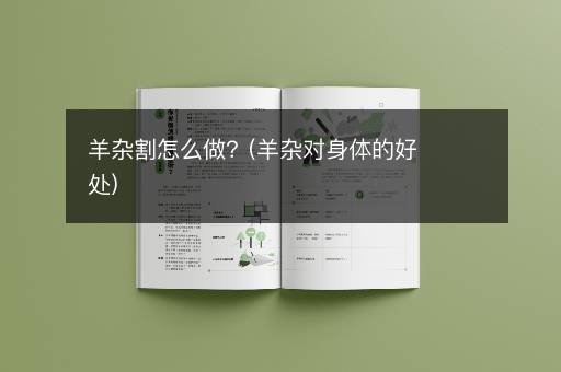 羊杂割怎么做？(羊杂对身体的好处)