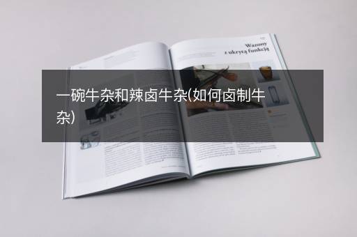 一碗牛杂和辣卤牛杂(如何卤制牛杂)
