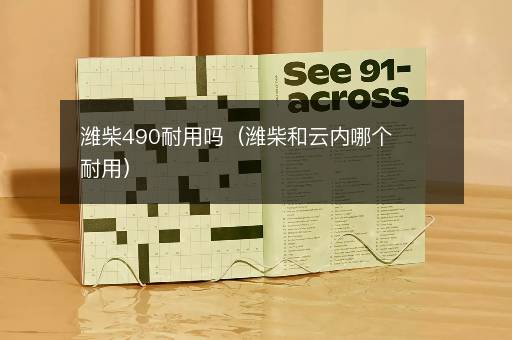 潍柴490耐用吗（潍柴和云内哪个耐用）