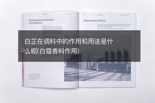 白芷在调料中的作用和用途是什么呢(白蔻香料作用)