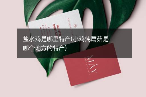 盐水鸡是哪里特产(小鸡炖蘑菇是哪个地方的特产)