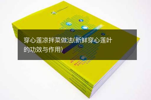 穿心莲凉拌菜做法(新鲜穿心莲叶的功效与作用)