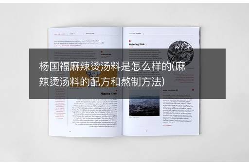 杨国福麻辣烫汤料是怎么样的(麻辣烫汤料的配方和熬制方法)